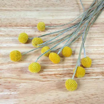 

[Likes Flower Village] Gold Ball Dried Flower Bouquet Family Decoration Dry Naturally Real Flowers Yunnan Floral Wholesale