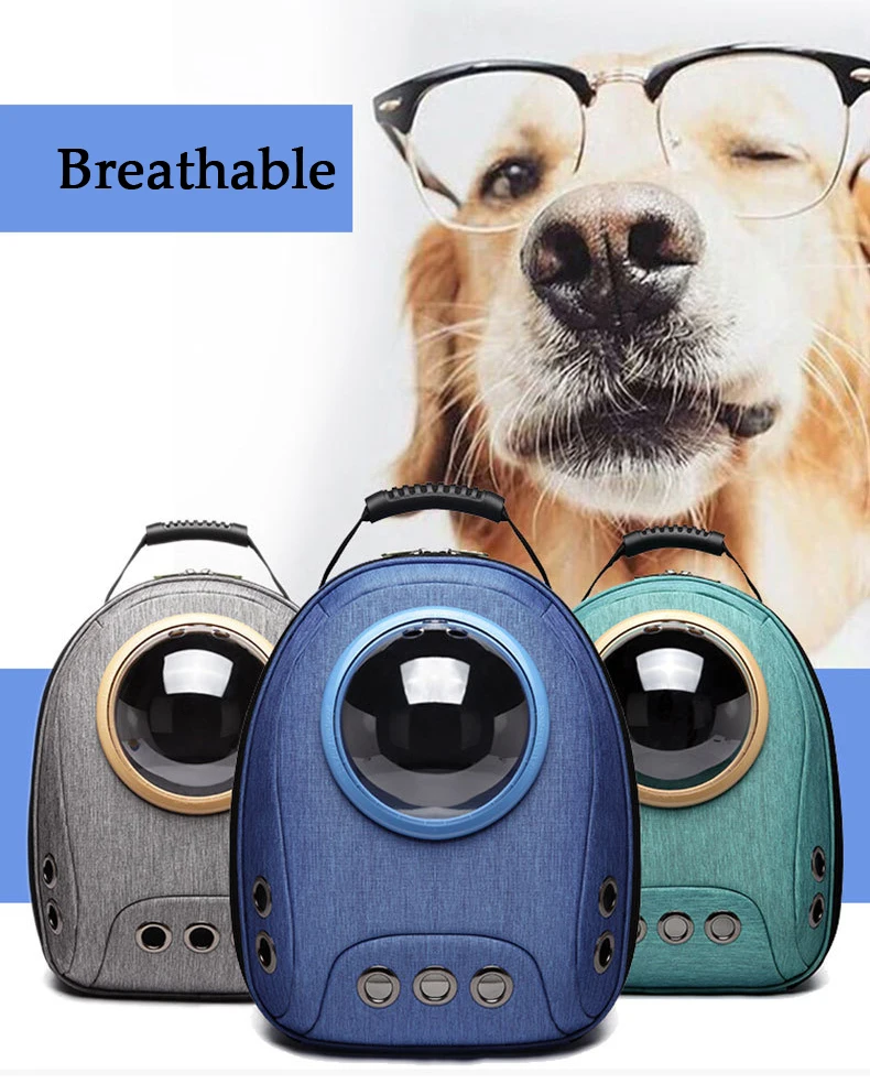 10794739346_1744351355副本