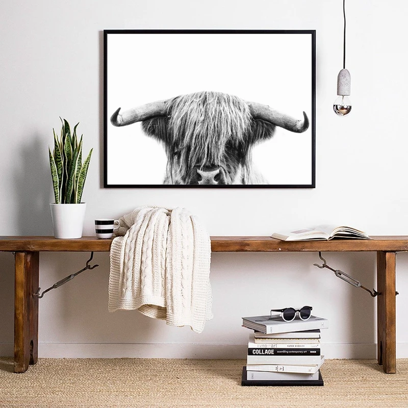 Highland Cow Canvas Prints