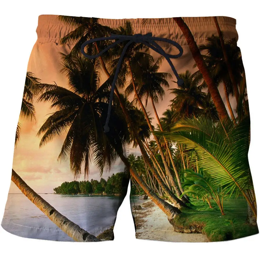 Great Value High quality men's beach pants shorts landscape printed elastic waist sports breathable sweat absorption shorts