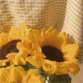 YangHeartForever Store