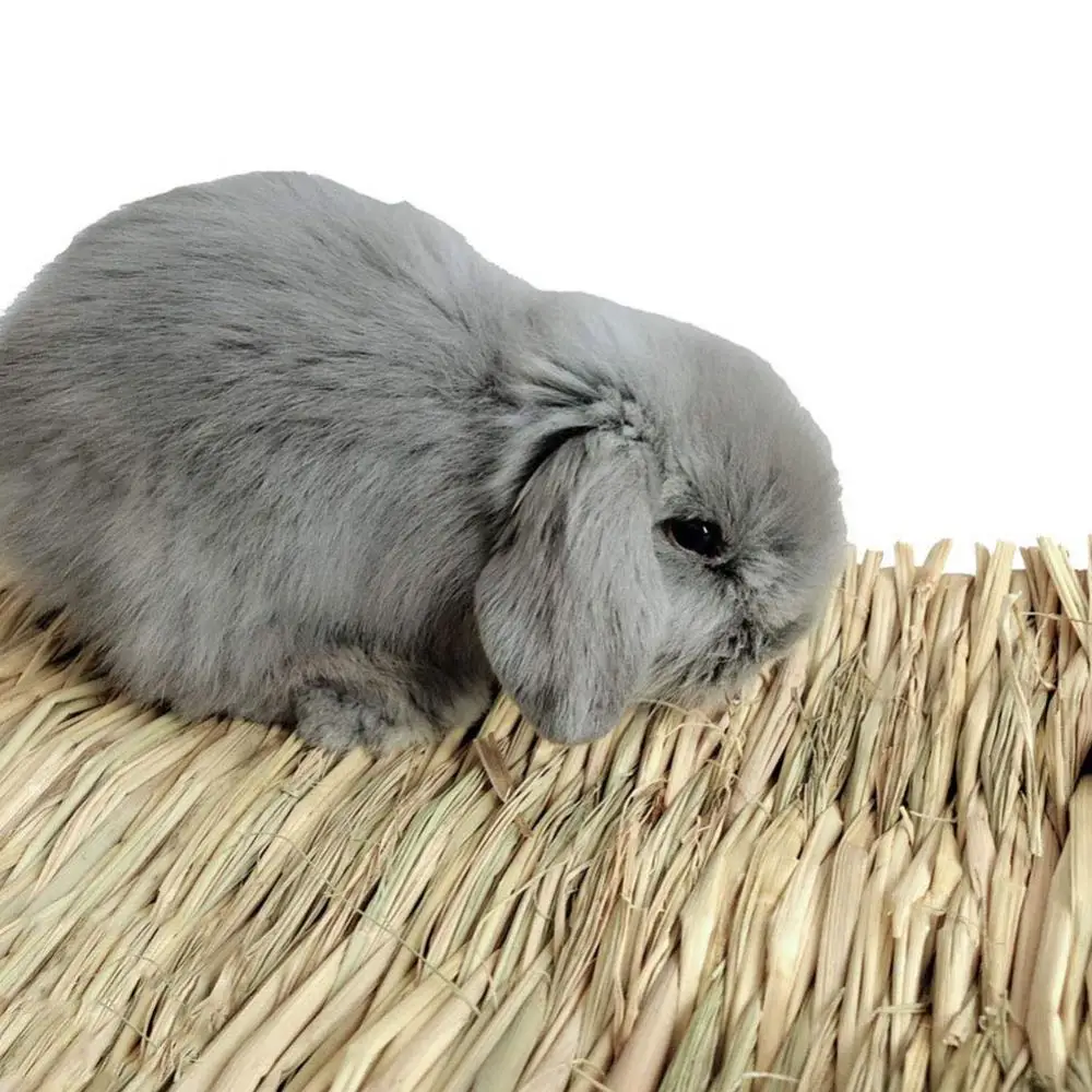 3Pcs Pet Hamster Rabbit Natural Soft Grass Bed Mat Pad Nest Cage Cushion Decor Chew Accessories | Дом и сад