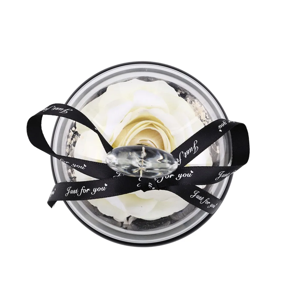 09e9dea812a815eb018c7c646890fdae