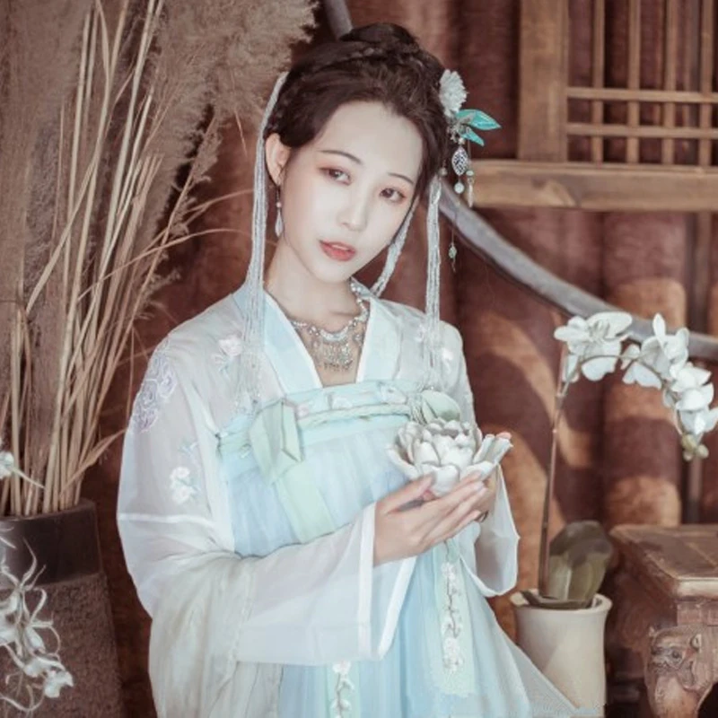 Hanfu костюм Китайский Женский сказочный Тан платье традиционный старинный элегантный Hanfu Китайский традиционный Одежда для танцев DQL1681