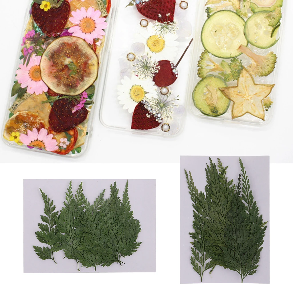 12pcs Pressed Dried Flowers Dry Fern Leaves for DIY Arts Craft Bookmark Card Natural Real Leaves for Scrapbooking Making Decor