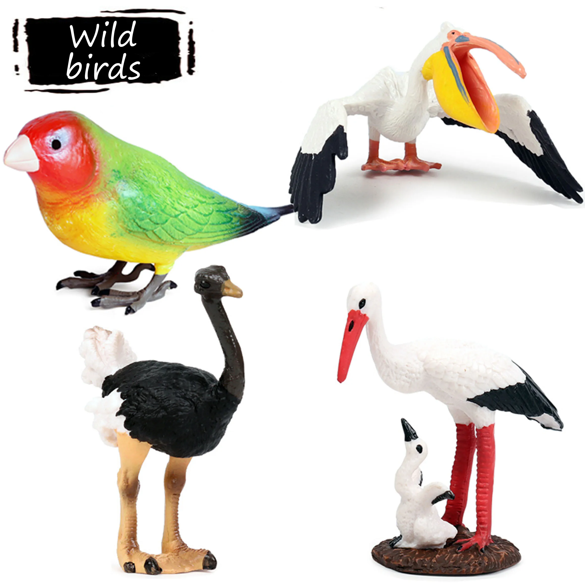 toys for wild birds