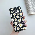 Black-C02
