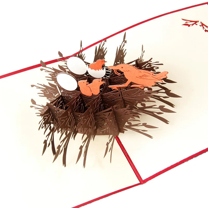 9234224097_1940134607