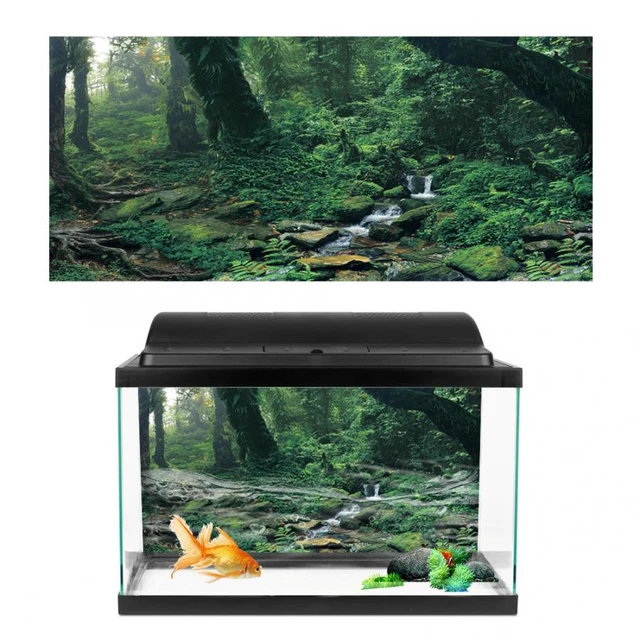 Aquarium Fish Tank Background Backdrop Poster - 2 to 10 FT Length 50cm High