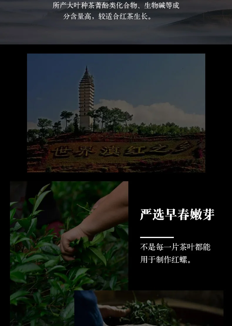 2019Yunnan Fengqing Red Red Tea Honey Scent Kung Fu Black Tea Loose Tea 1000g