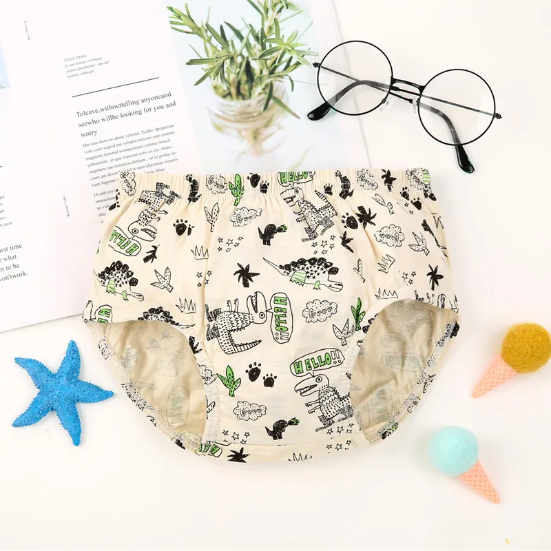 5 Pcs Boys Cotton Underwear Dinosaur Cartoon