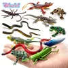 12pcs Frog insect snake lizard ant farm animal Fun model action figure christmas Gift For Kids educational children's garden toy ► Photo 1/6