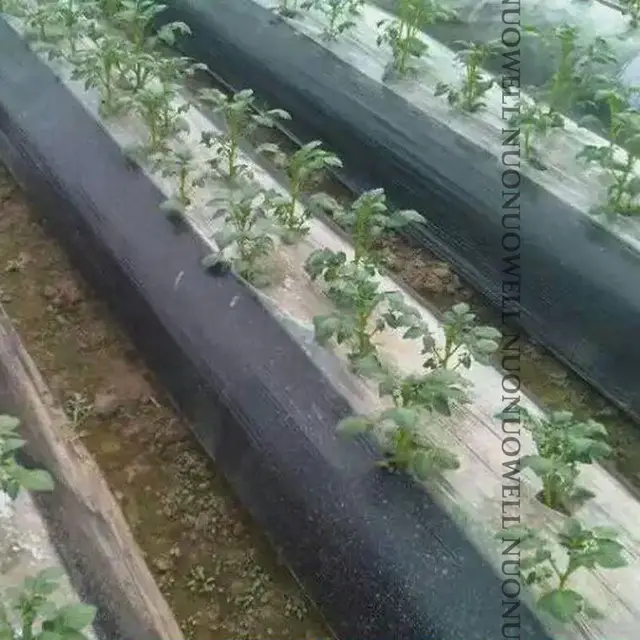 25 Méter Fehér-Fekete Kerti Film Mezőgazdaság Műanyag Gyomnövény Pe Fruit Tree Mulch Növények Borítják