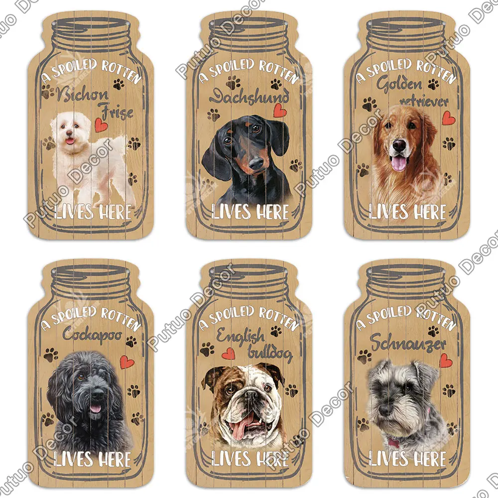 H7309b17a2c5b4a6fbd60579ec3649cc8J.jpg?width=1000&height=1000&hash=2000