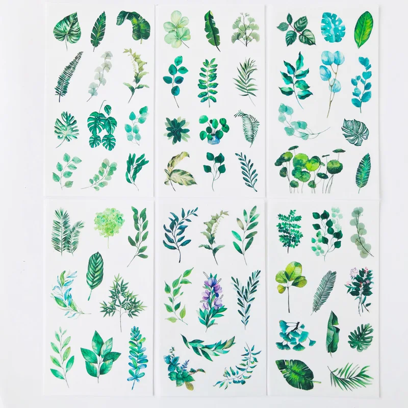 Рисунок 3 - 6 листов/упаковка