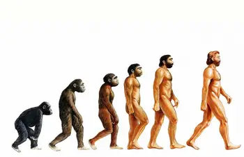 

The Evolution of Man Art print Silk poster Home Wall Decor