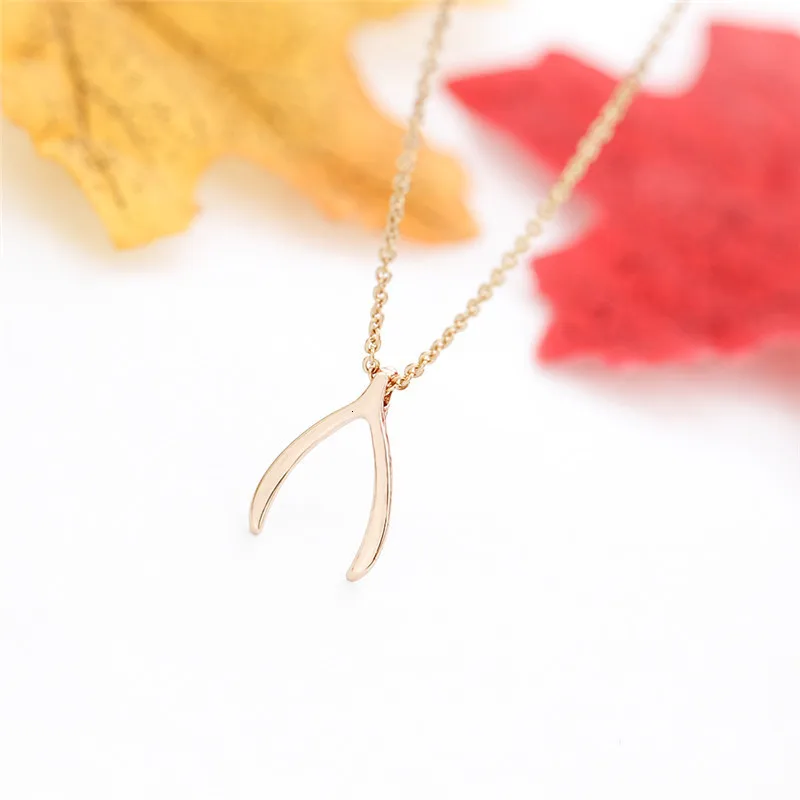 _MG_5393