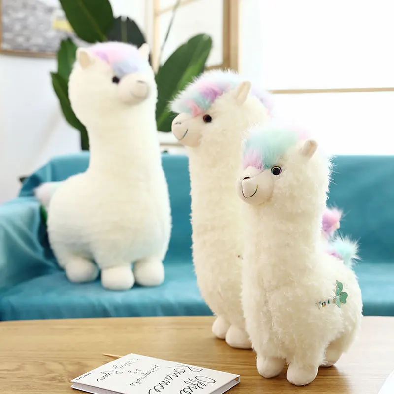 12087943456_457482698