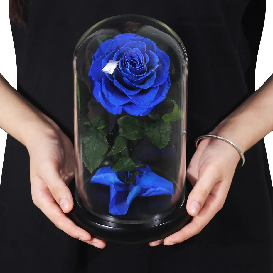 Rosa eterna stabilizzata con cupola di vetro Beauty and Beast Real Flower  Christmas Wedding Birthday Gift for Women Home Decor