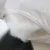 40x40/45x45/30x50/50x50/55x55/30x60/60x60cm Solid Pure Cushion Core Pillow Inner PP Cotton Filler Health Care Cushion Filling