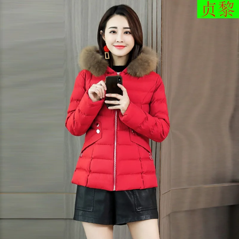 

Short-height down Jacket Cotton-padded Clothes Women's 2018 New Style Winter Short Fur Collar Cotton Overcoat Thick Cotton-Padde