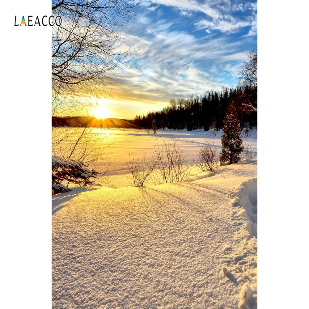 Laeacco Зимний снег Восход Лес пейзаж фотографии фоны виниловая камера