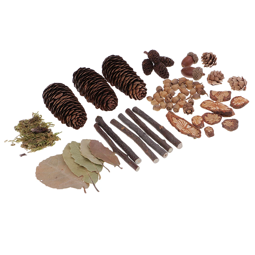 Mini Natural Rustic Dried Pine Cones In Bulk For Christmas Party Ornament DIY Decoration Dried Flowers Leaves Plants Ornaments
