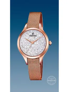 

FESTINA F20338/1