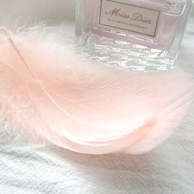 Goose feather L5 Перья индейки Марабу 100 шт пушистый Гусь свадебное платье DIY украшения декоративные принадлежности для рукоделия - Цвет: Goose feather L5