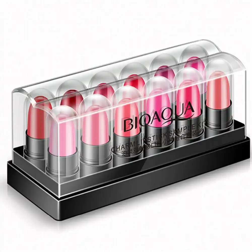12 color lipstick set
