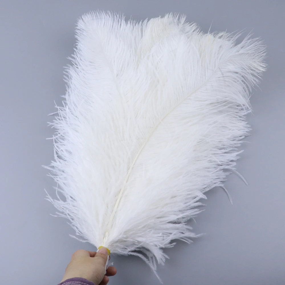 TS0145012 45-50cm ostrich feathers 4
