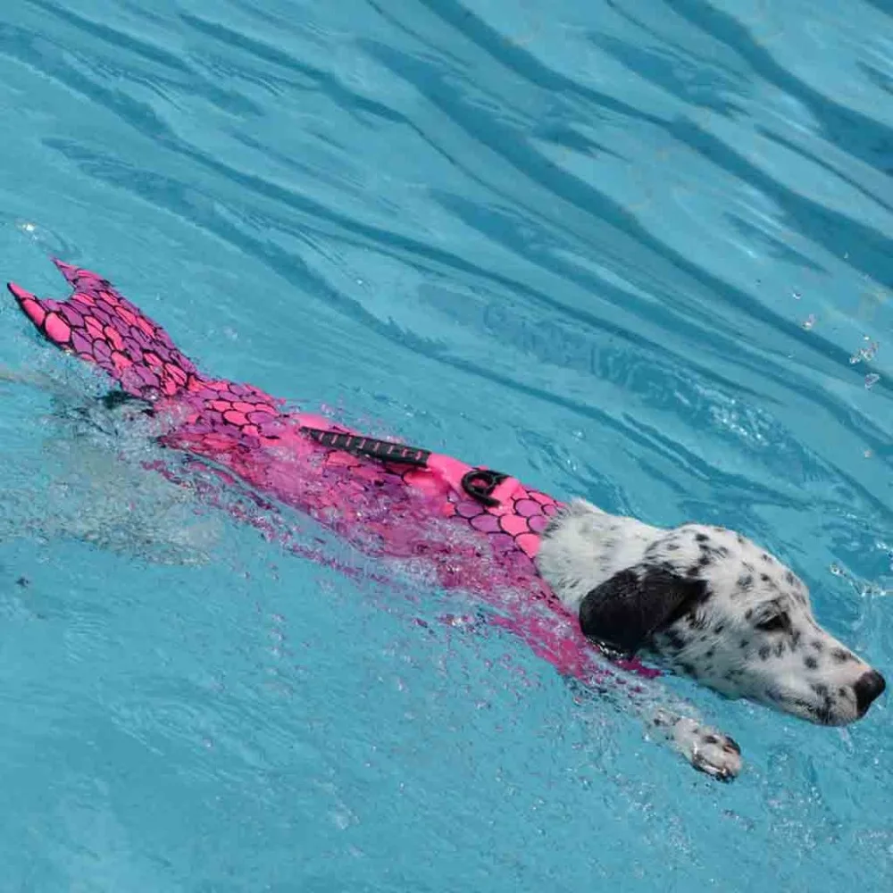 4-Pet-Dog-Swimming-Life-Jacket-Shark-Shape-Float-Vests-Buoyancy-Aid-Costume-Fashion-Pets-Outdoor-Swim