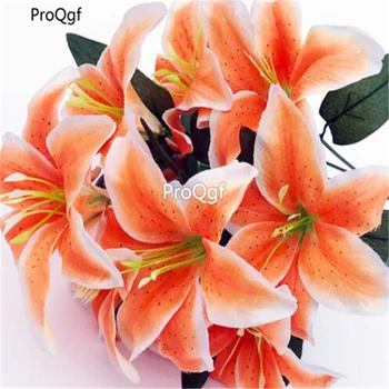 

Ngryise 30Pcs A Set lily flower bulb