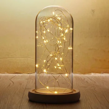 

9x20cm Glass Dome Night Light Bell Jar Wooden Base with Fairy LED Lights Table Lamp +40 Lamp Heads Starry String Lights
