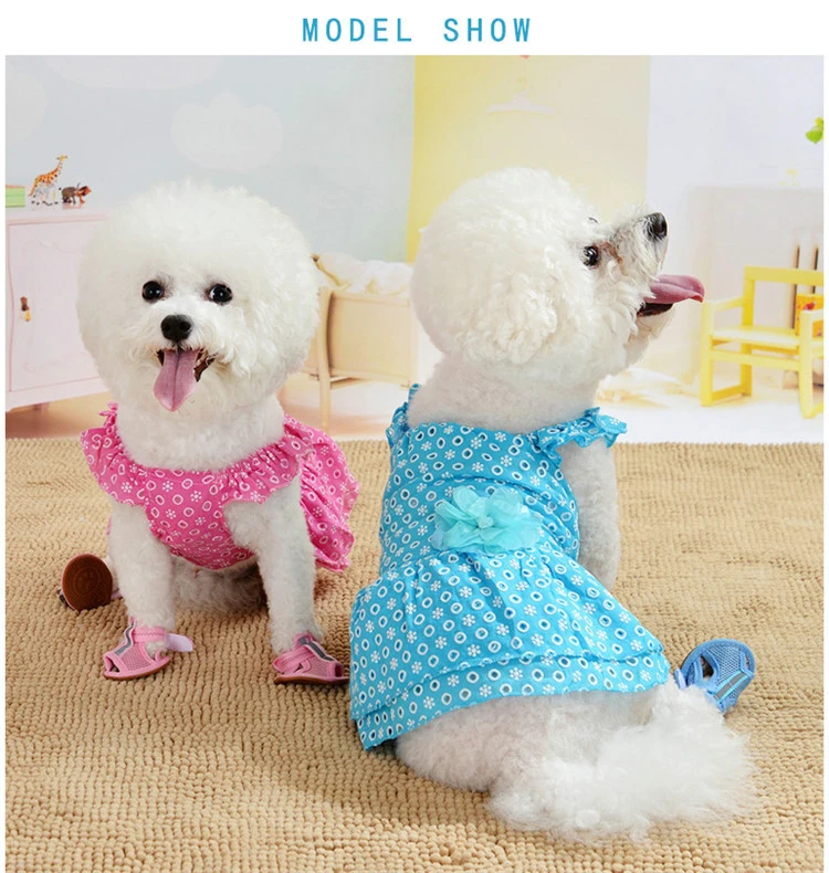 11726152411_1368698927