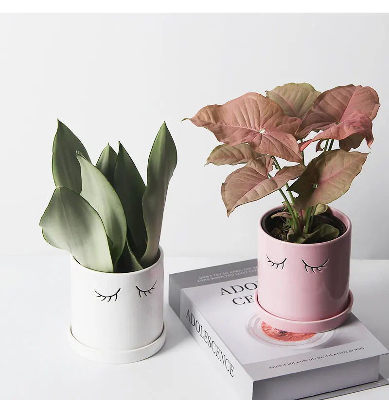 Nordic ins eyes ceramic flowerpot eyelashes cute indoor succulent planting cactus potted desktop decoration home decoration