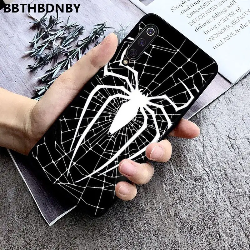 Spider Web