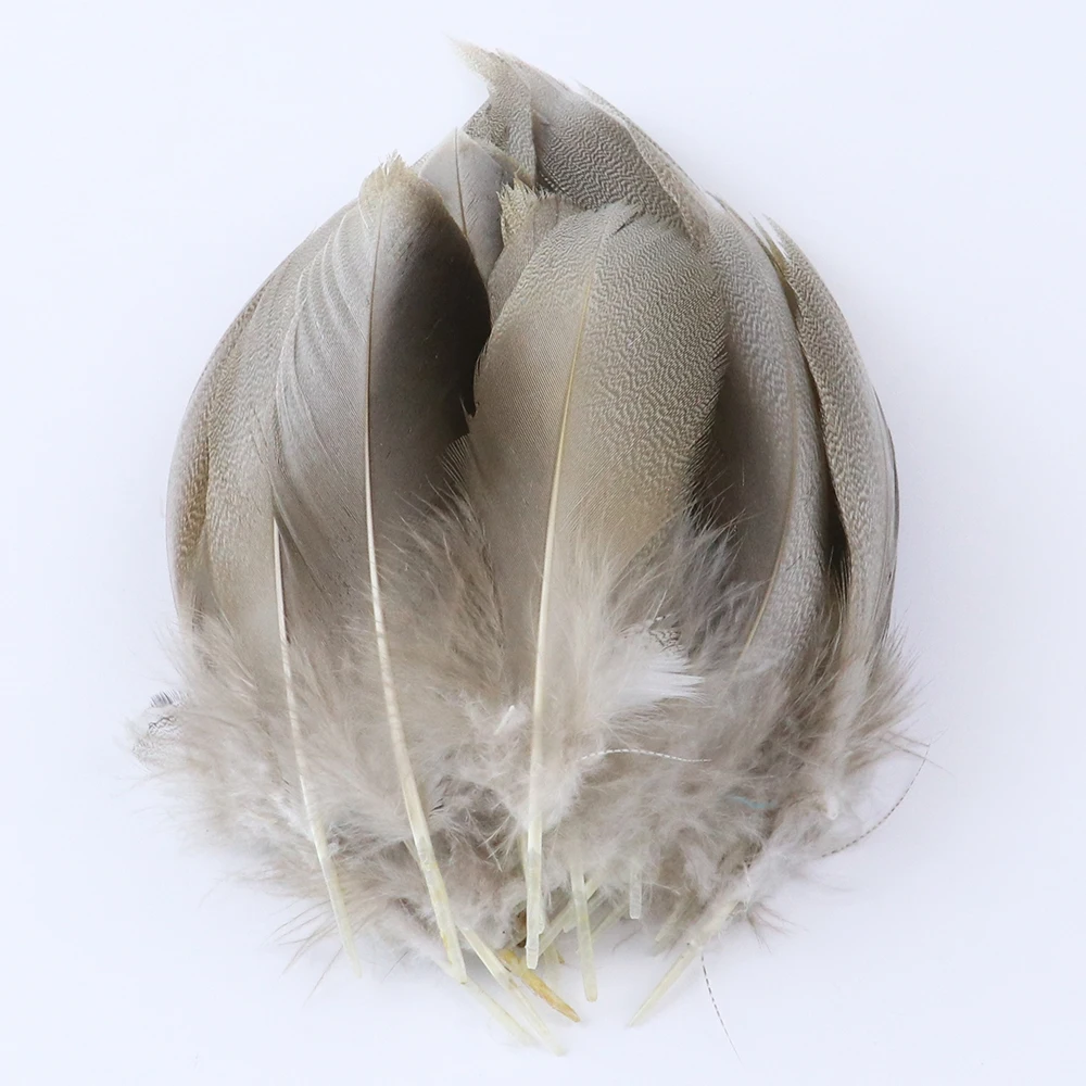 10-15cm 青野鸭毛 (1)