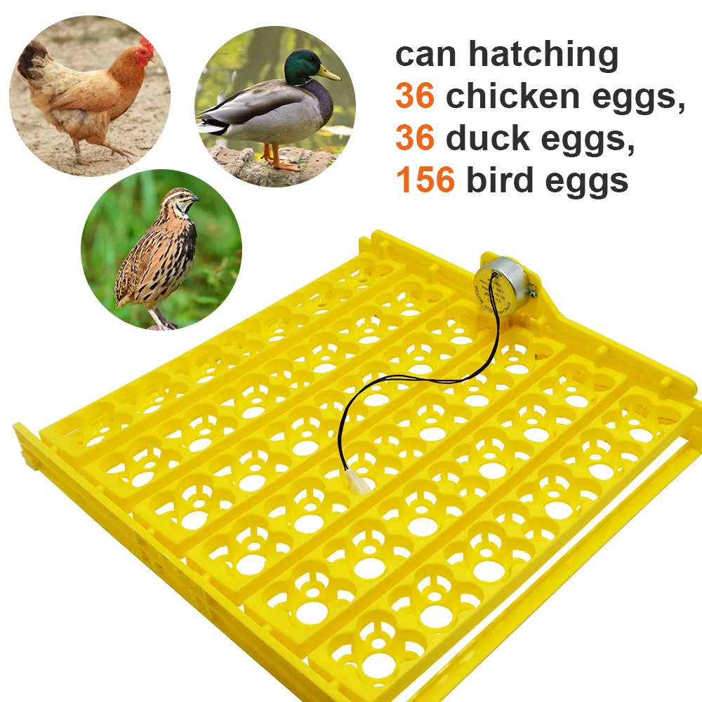 

36 Chicken Eggs/156 Bird Eggs Incubator Turn Tray Chickens Ducks Poultry Automatic Incubator 220V/110V/12V Incubation Equipment