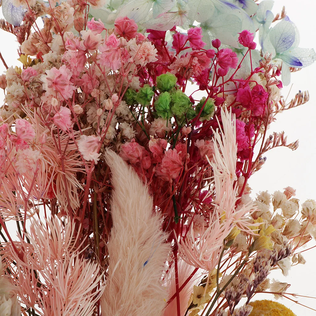 1Box Pressed Leaves Natural Dried Flowers Scrapbooking Card Making
