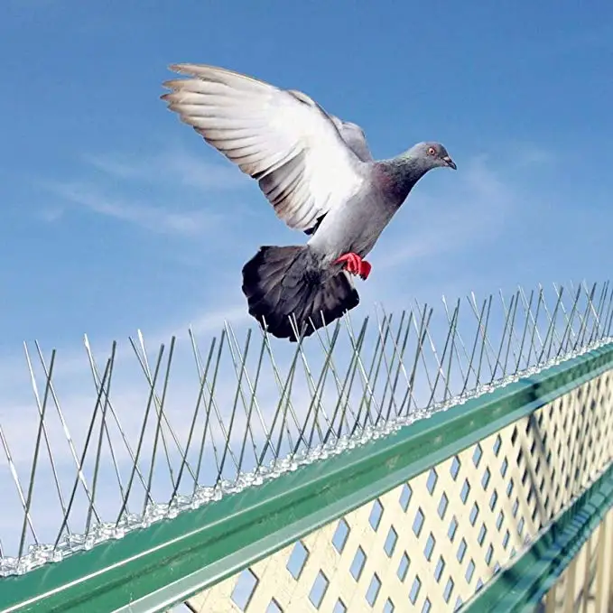 Нержавеющая сталь пластиковые птицы и шипы для отпугивания голубей Анти Птица анти голубь шип для избавления голубей и отпугивания птиц борьба с вредителями