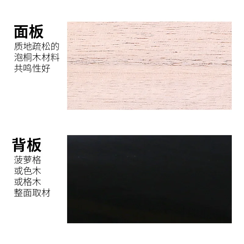 Dunhuang Brand 572M Pipa Peony Head Pineapple Grid Adult Children Beginners Teaching Grade Examination Folk Musical Instrument