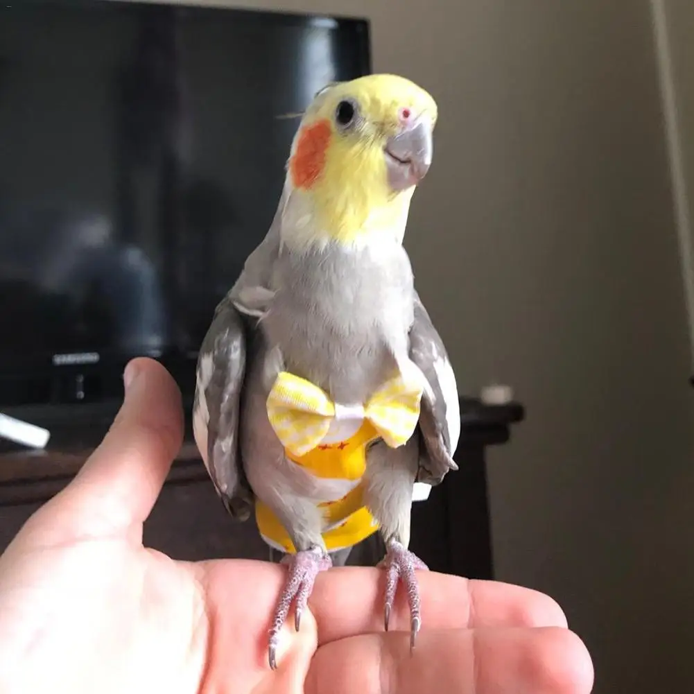 Pet пеленки одежда с птицами поводок для попугая Тяговый канат Регулируемый Pet птица Летающая одежда ремень веревка поводок для попугая