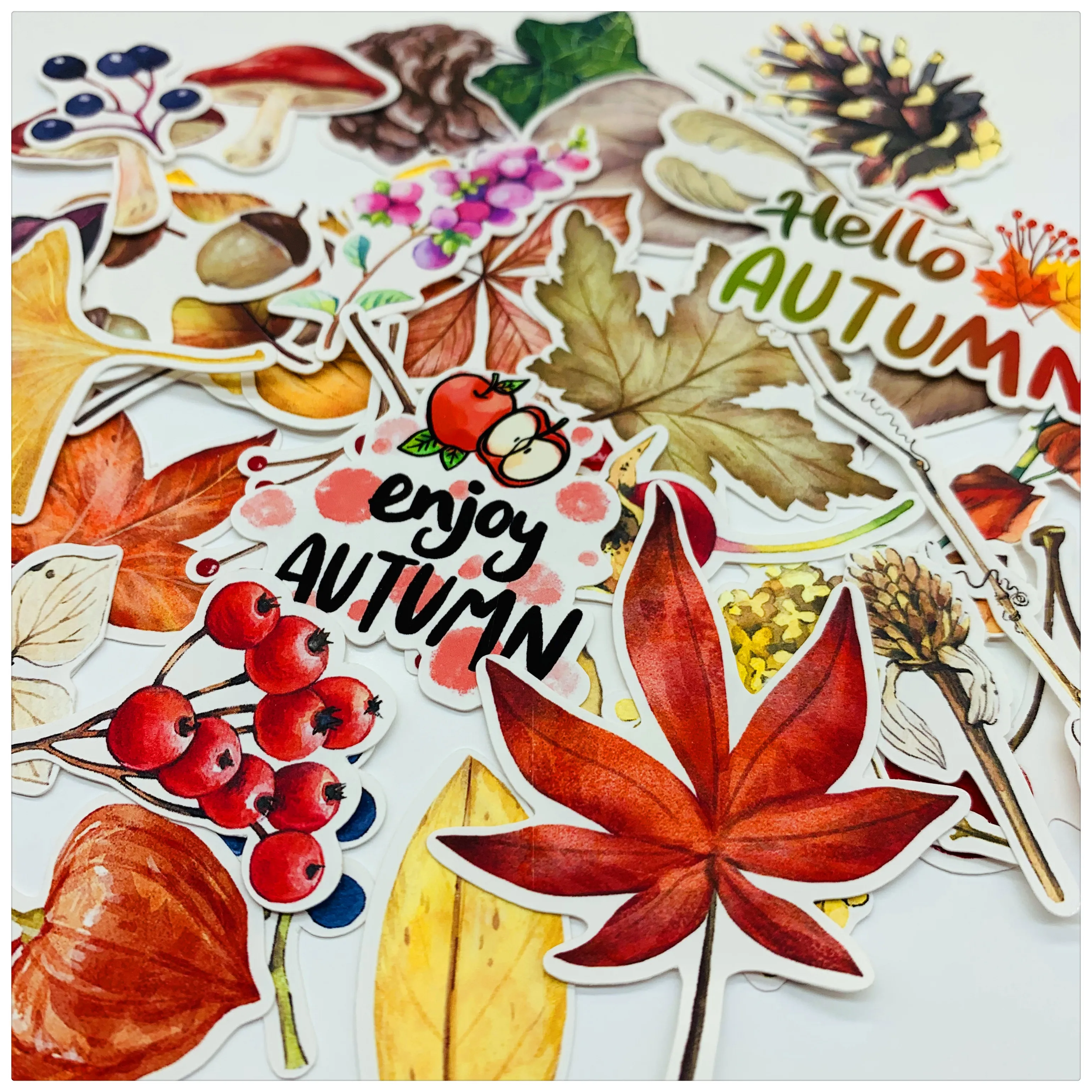

Hello autumn series stickers DIY scrapbooking junk journal album week diary happy planner decorative stickers