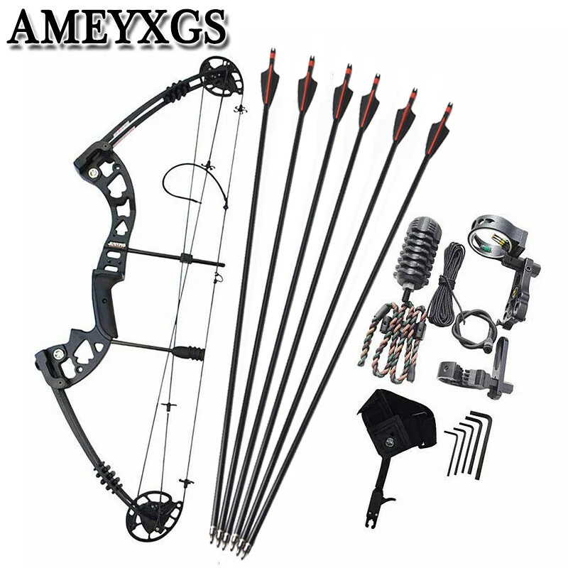 

1Set Archery Compound Bow 38Inch 30-55lbs Adjustable Pulley Bow For Outdoor Hunting Shooting Training Archery Accessories