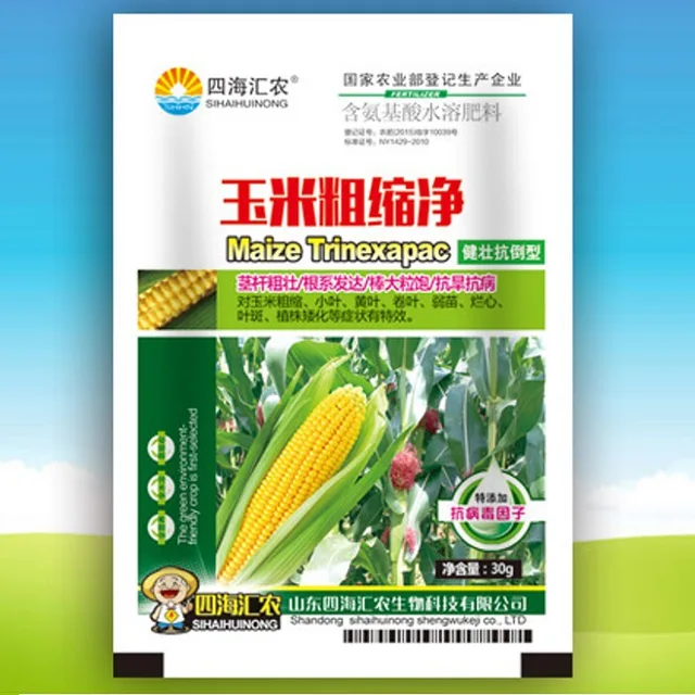 Special Fertilizer for Corn Promotes the Growth of Rhizomes