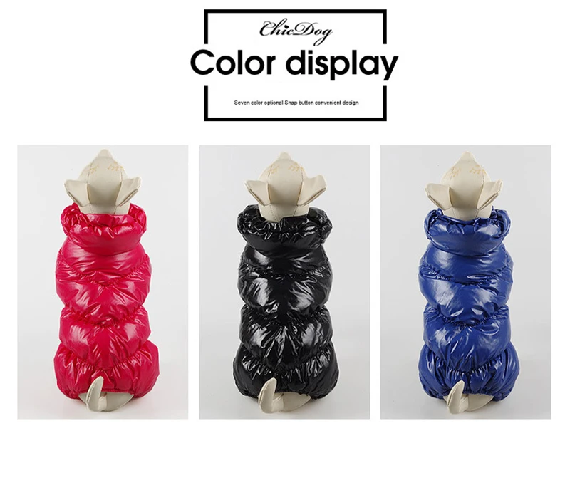 3555639729_260982674