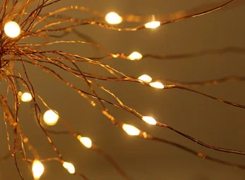 F5DCA9F5-EEF6-49b9-827E-9D8EFF937A9C