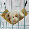 Pet Products