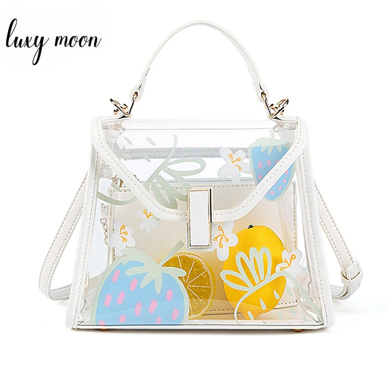transparent mini handbag